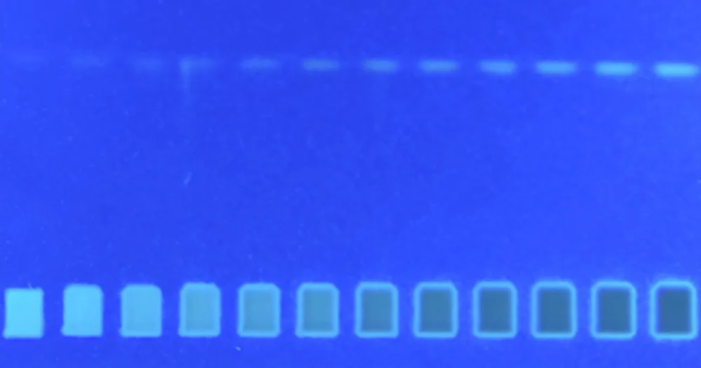 2LabsToGo system, analytical response plate with 12 amounts from 0.5 to 8.3 ng